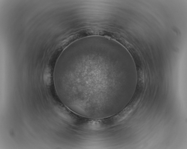 X0000112770080200908271651