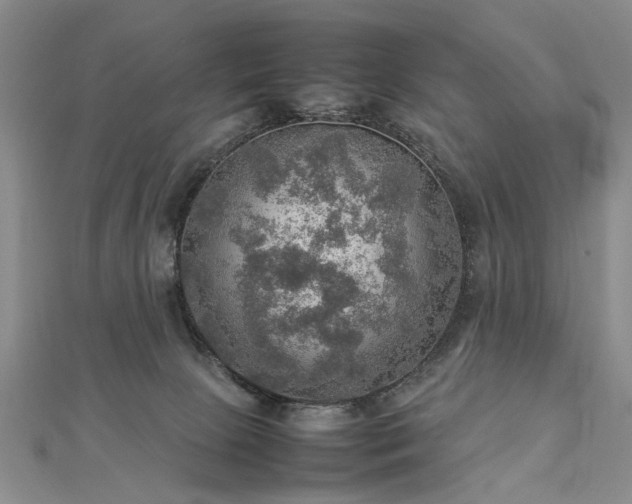 X0000112770081200908271651