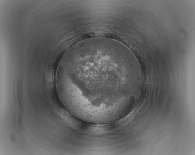 X0000112770082200908271651