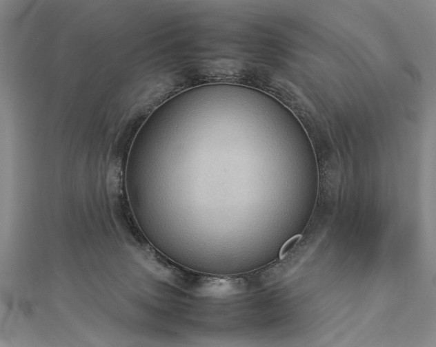 X0000112770083200908271651