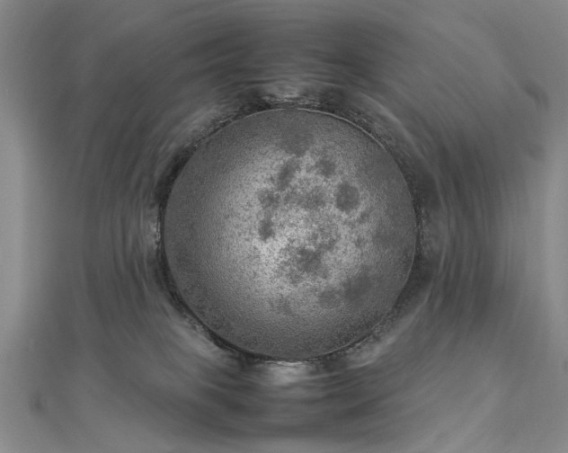 X0000112770085200908271651