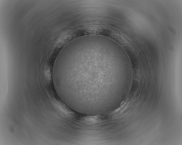 X0000112770086200908271651