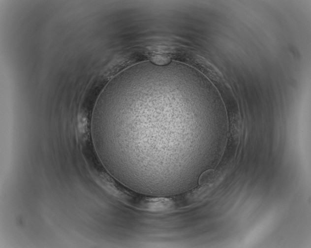 X0000112770087200908271651