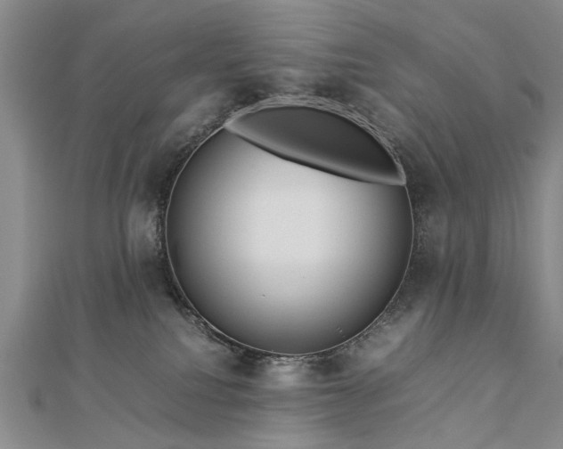 X0000112770088200908271651