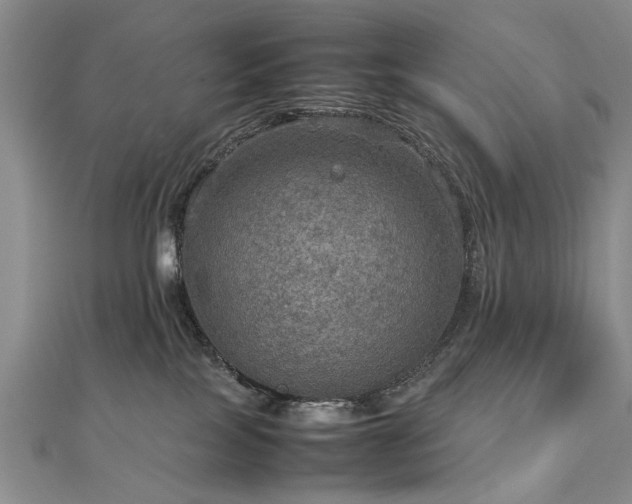 X0000112770089200908271651