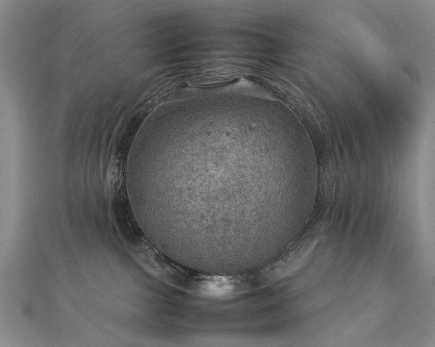 X0000112770091200908271651