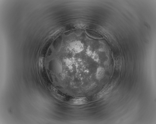 X0000112770093200908271651