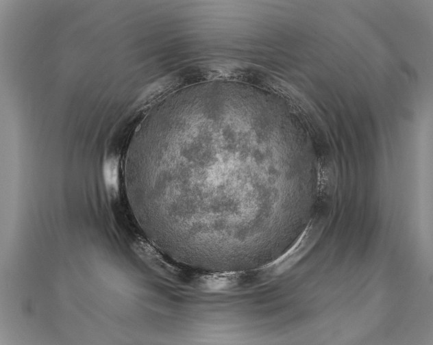 X0000112770094200908271651