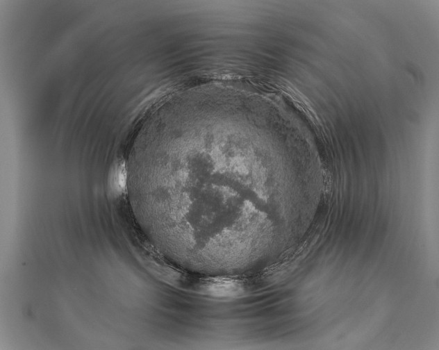 X0000112770095200908271651