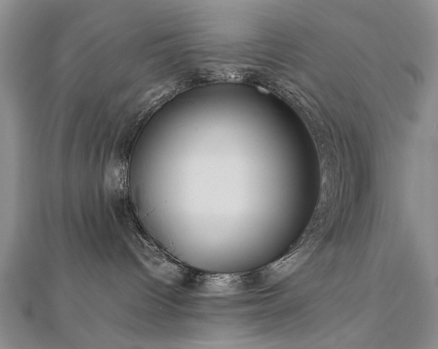 X0000112770096200908271651