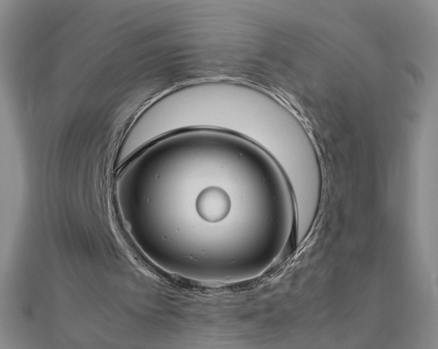 X0000112770097200908271650