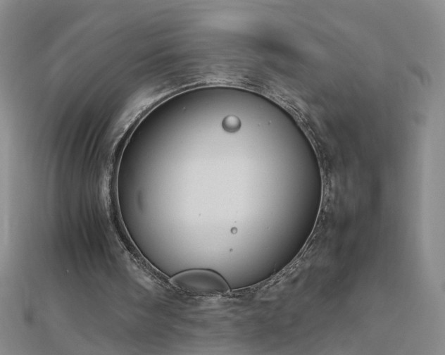 X0000112770098200908271650