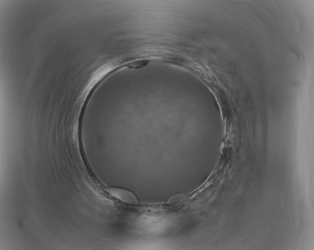 X0000112770099200908271650