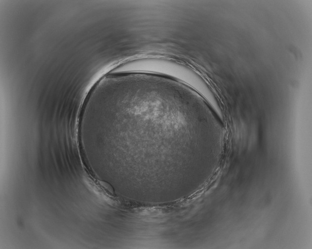 X0000112770100200908271650