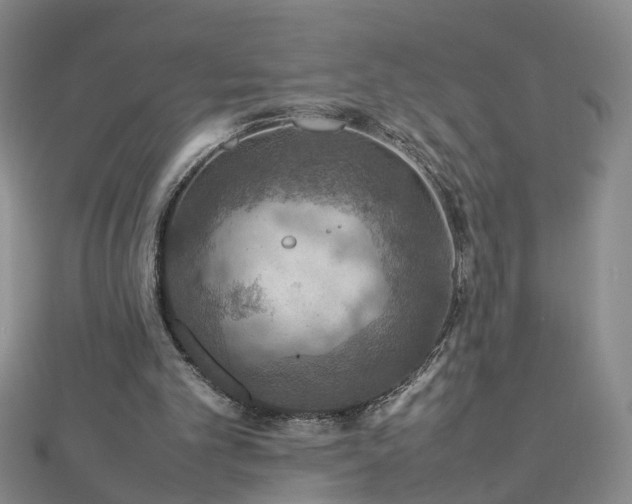 X0000112770101200908271650