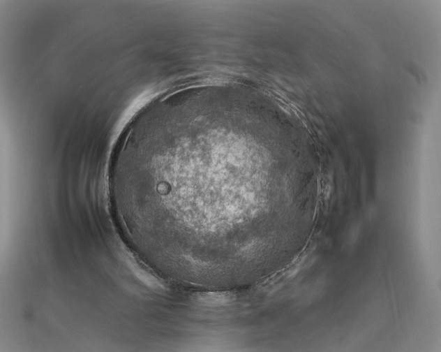 X0000112770102200908271650