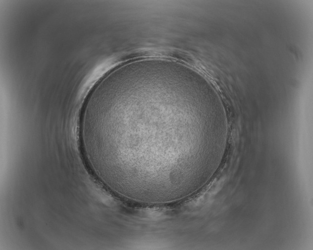 X0000112770103200908271650