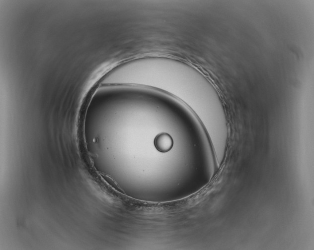 X0000112770104200908271650