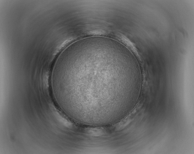 X0000112770106200908271650