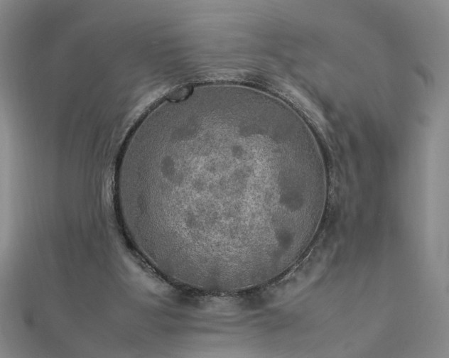 X0000112770107200908271650