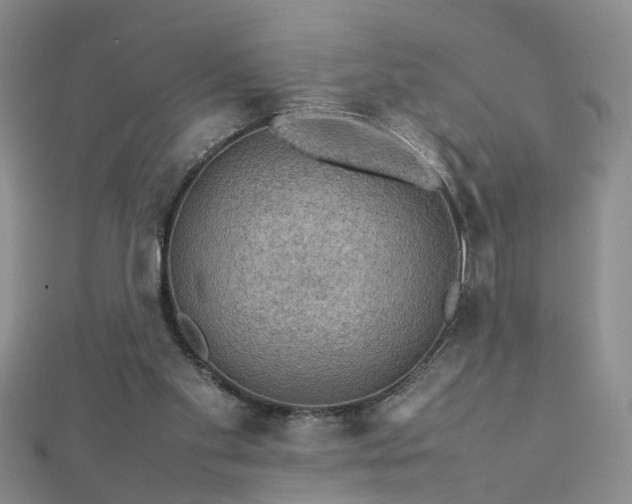 X0000112770109200908271650