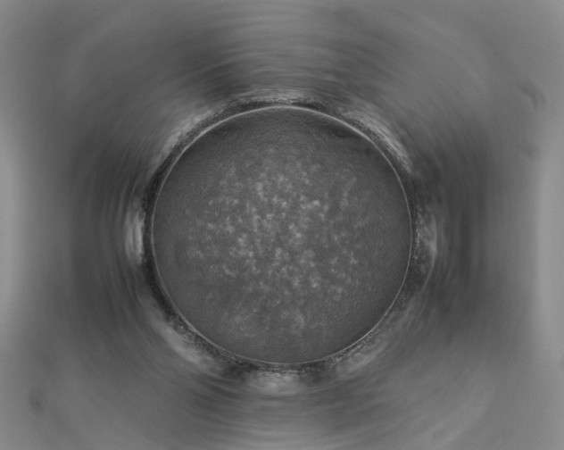 X0000112770110200908271650