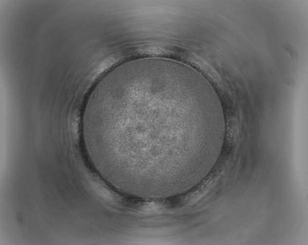 X0000112770111200908271650