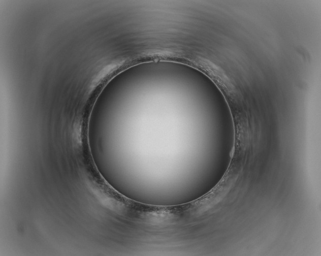 X0000112770112200908271650