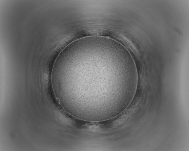 X0000112770113200908271650