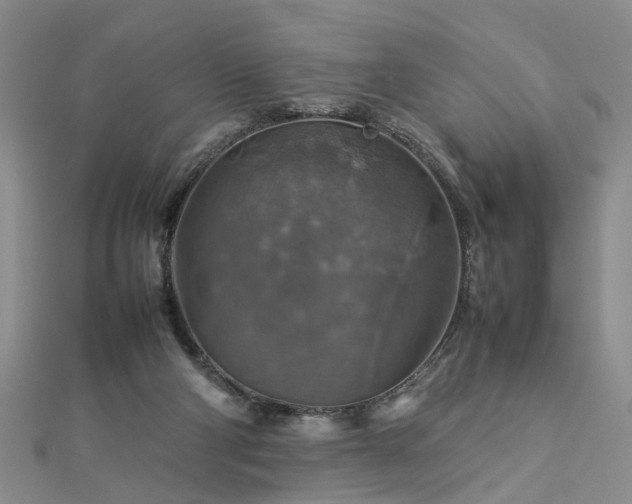 X0000112770114200908271650