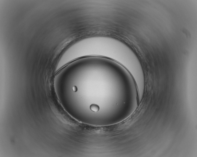 X0000112770116200908271650