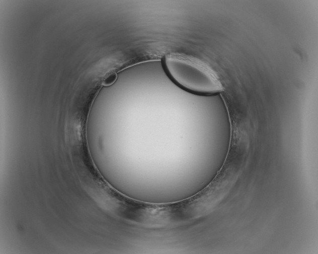 X0000112770117200908271650