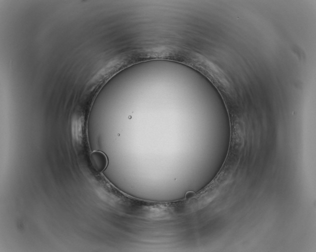 X0000112770118200908271650