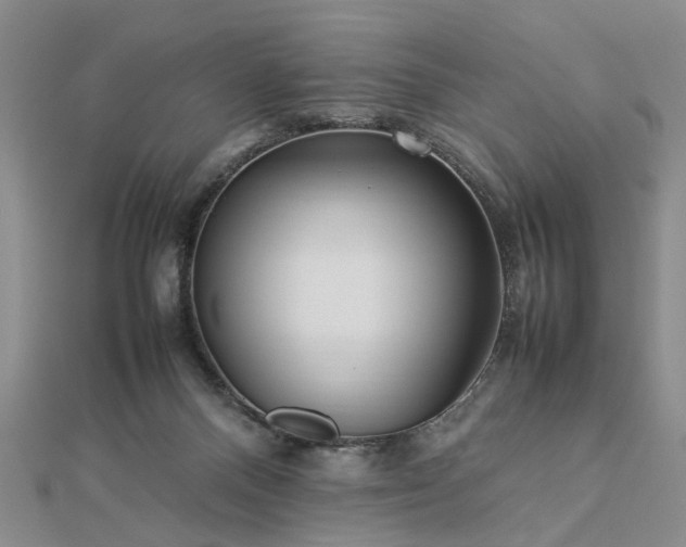 X0000112770120200908271650