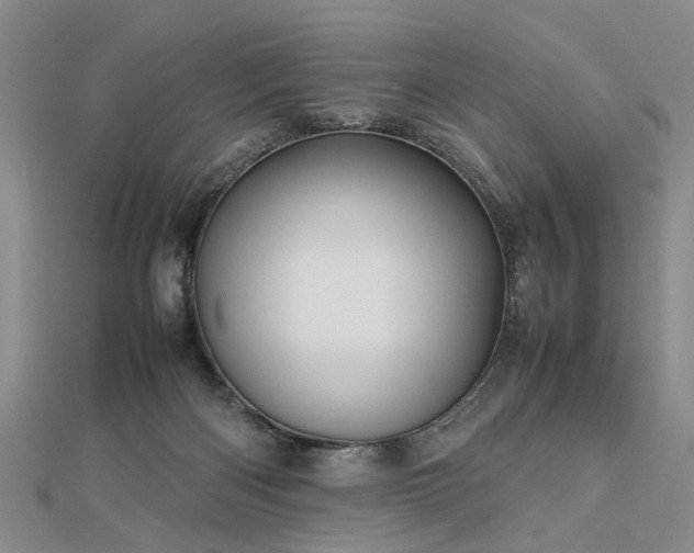 X0000112770122200908271650