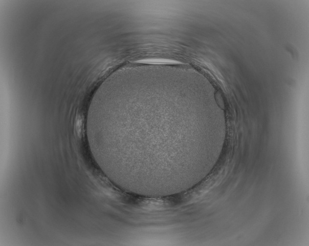 X0000112770123200908271650