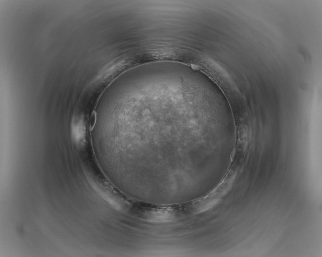 X0000112770124200908271650