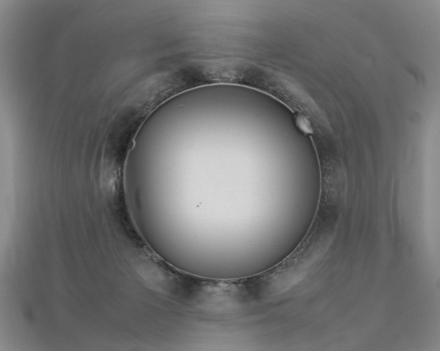 X0000112770125200908271650