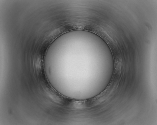 X0000112770126200908271650