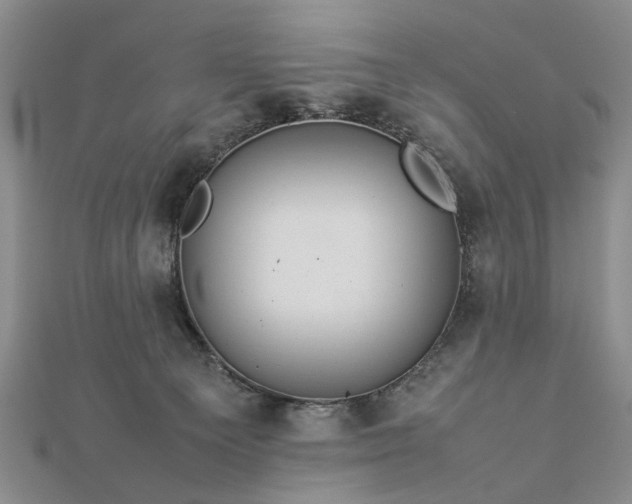 X0000112770129200908271650