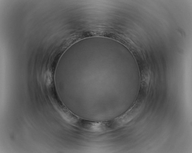 X0000112770130200908271650