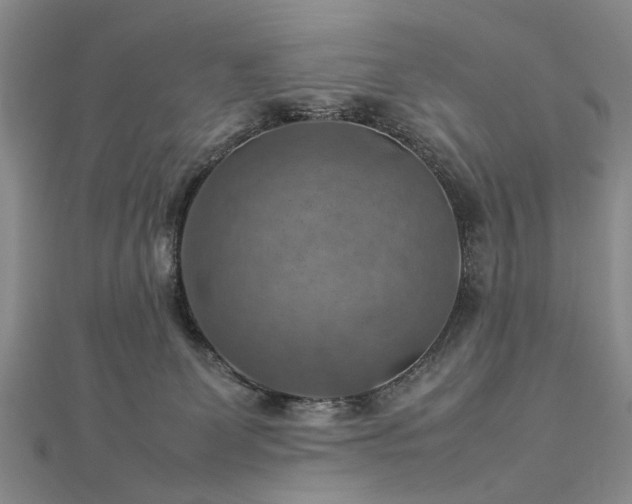 X0000112770131200908271650