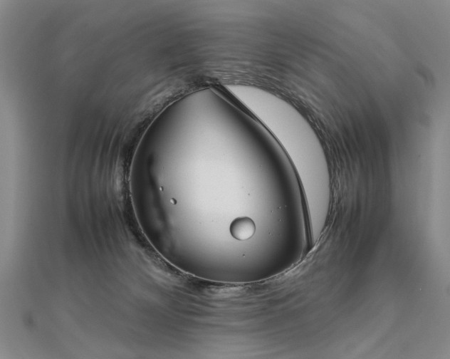 X0000112770132200908271650