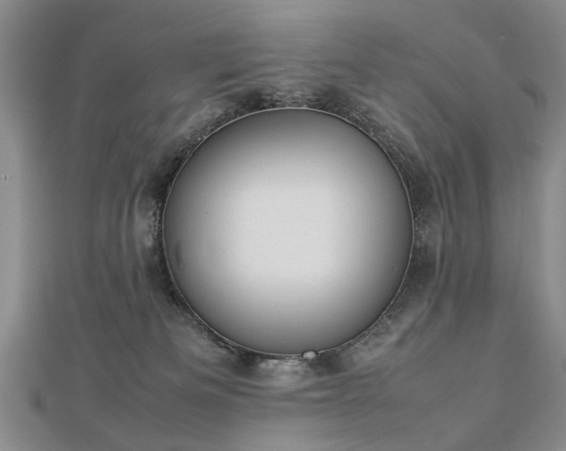 X0000112770133200908271650