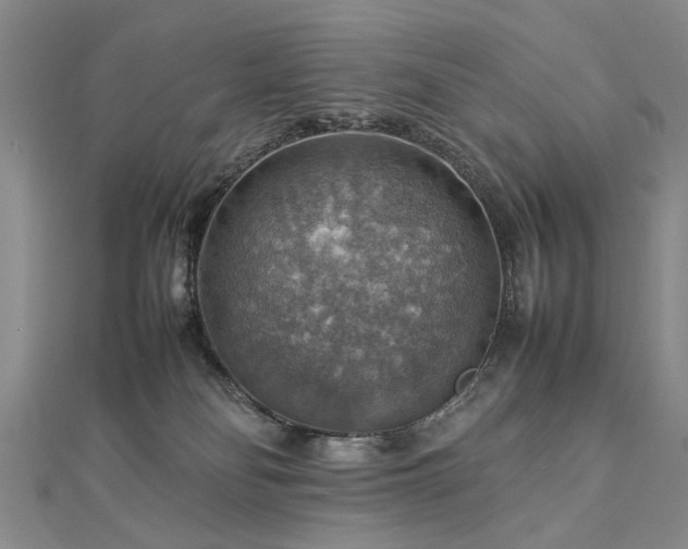 X0000112770134200908271650