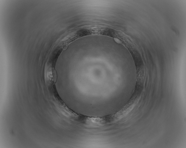 X0000112770137200908271650