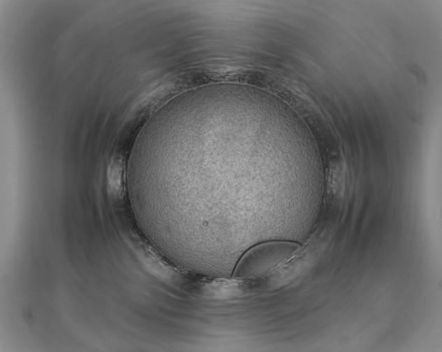 X0000112770138200908271650