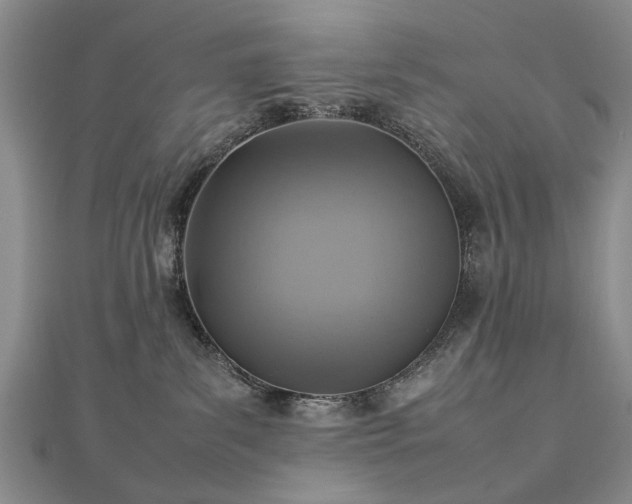 X0000112770139200908271650