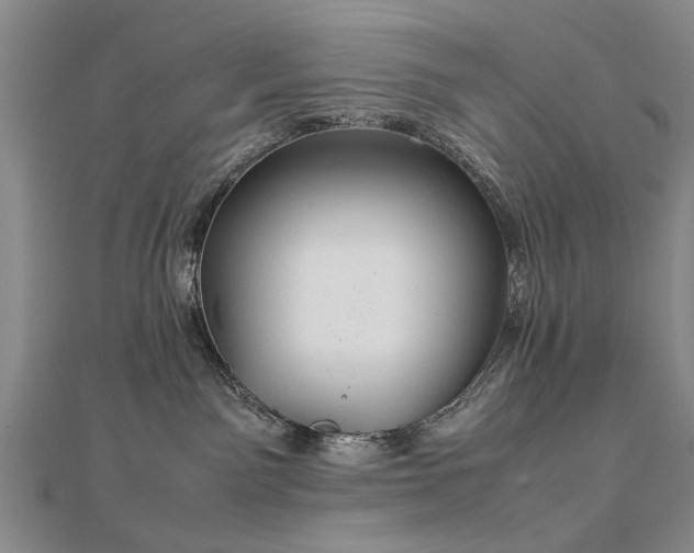 X0000112770141200908271650