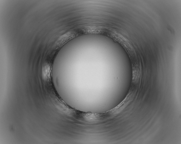 X0000112770142200908271650